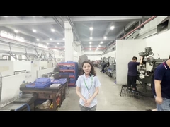 जेडेक ट्रे मोल्ड प्रसंस्करण कार्यशाला